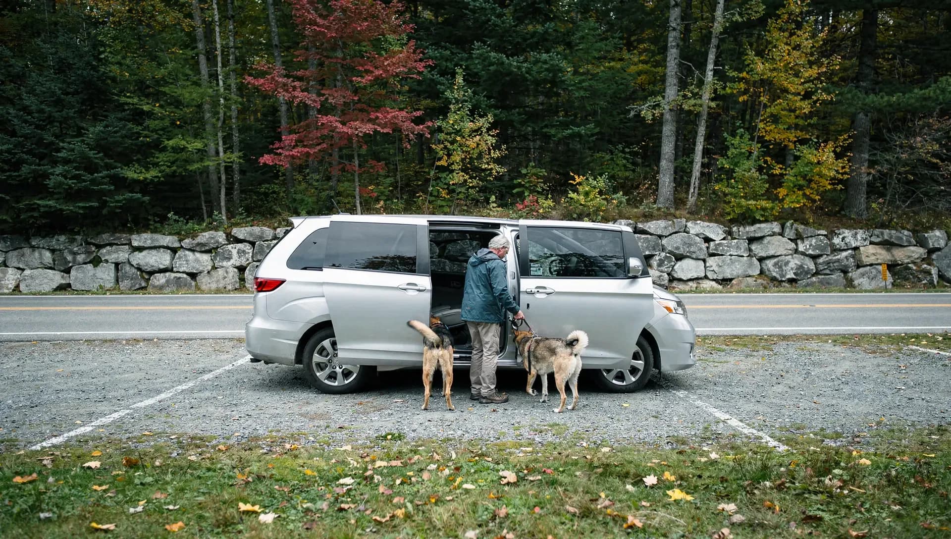 A dog walker stands at the open sliding door of a silver minivan in a gravel pull-off, two dogs on leads beside him.