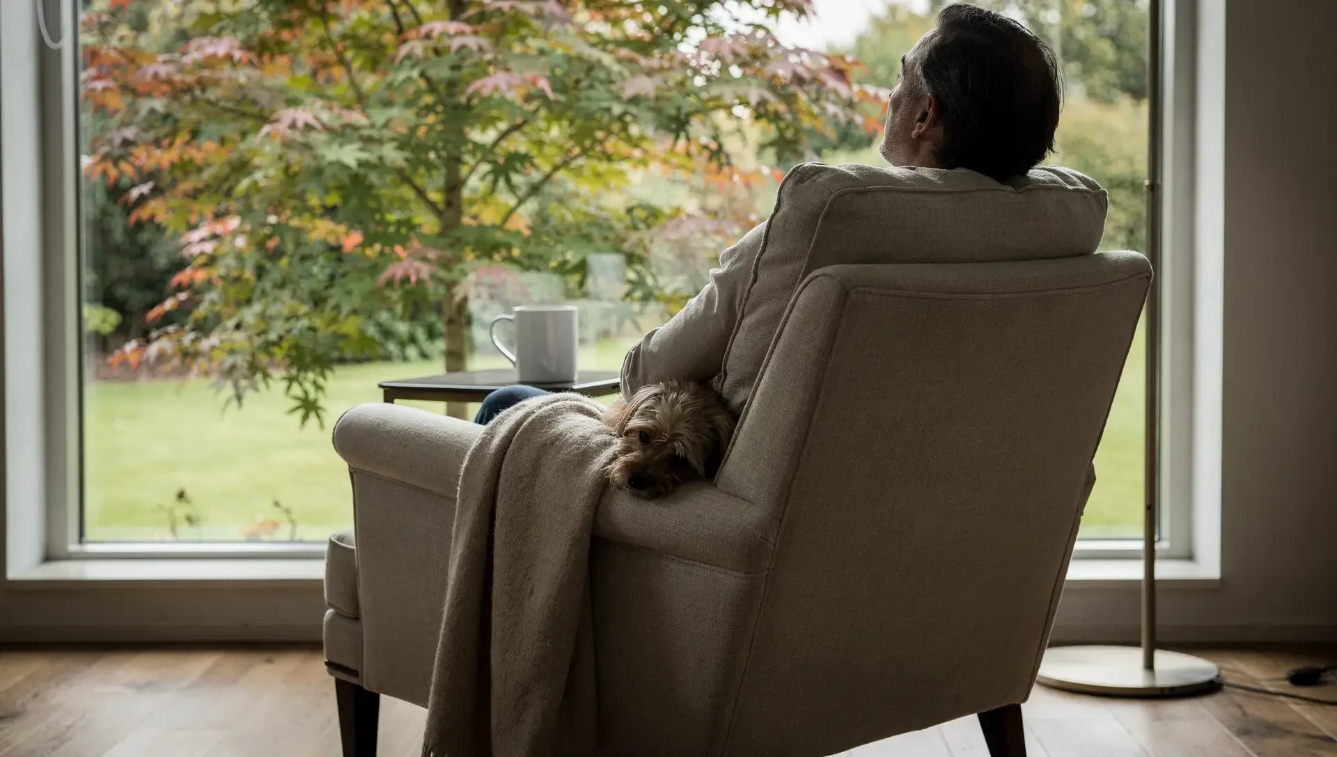 A man seen from behind relaxes in an armchair by a tall window, a small dog curled beside him and a maple turning outside.