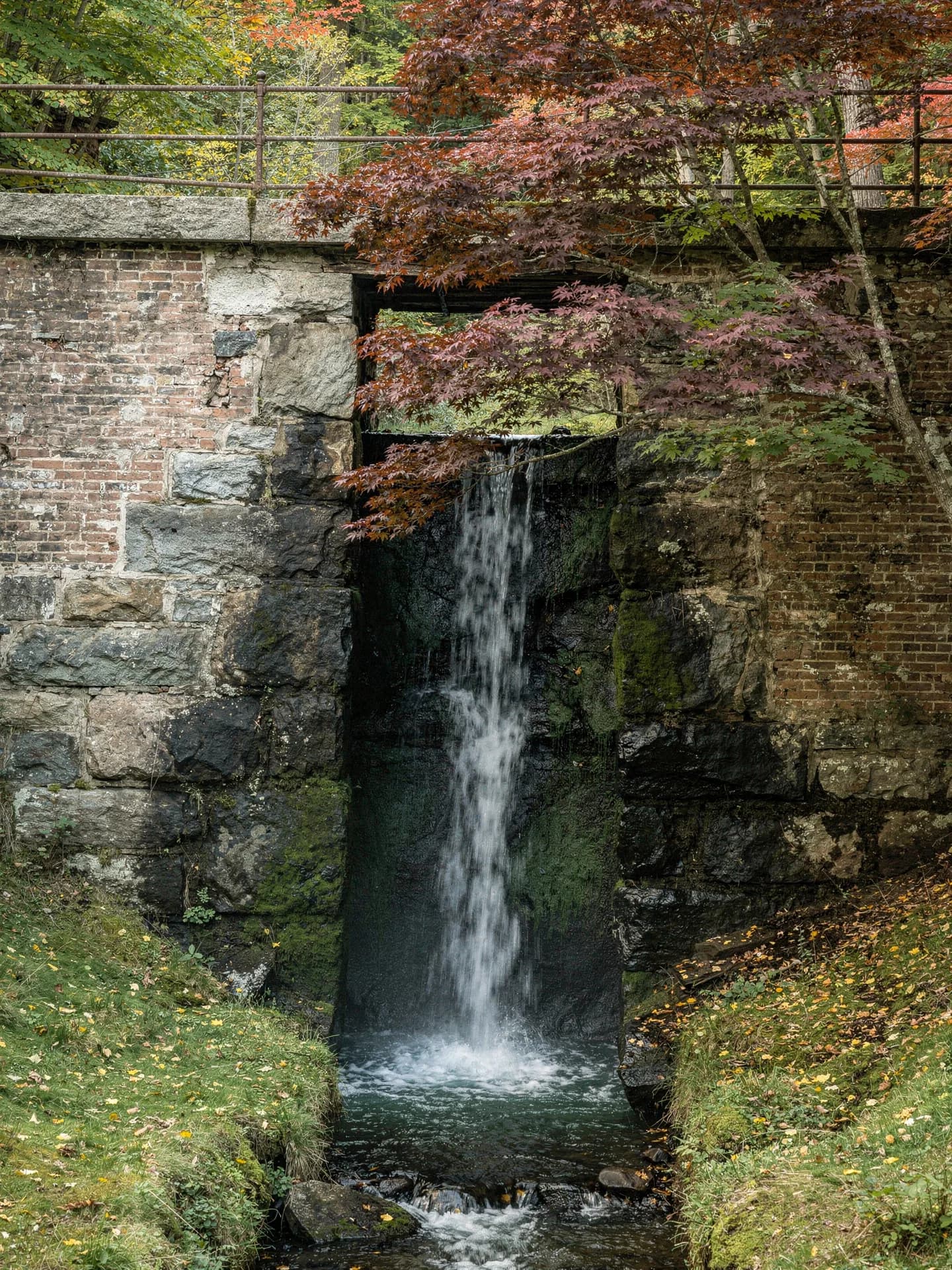 A narrow waterfall drops between old stone and brick mill foundations under an iron railing, a red maple leaning over the water.
