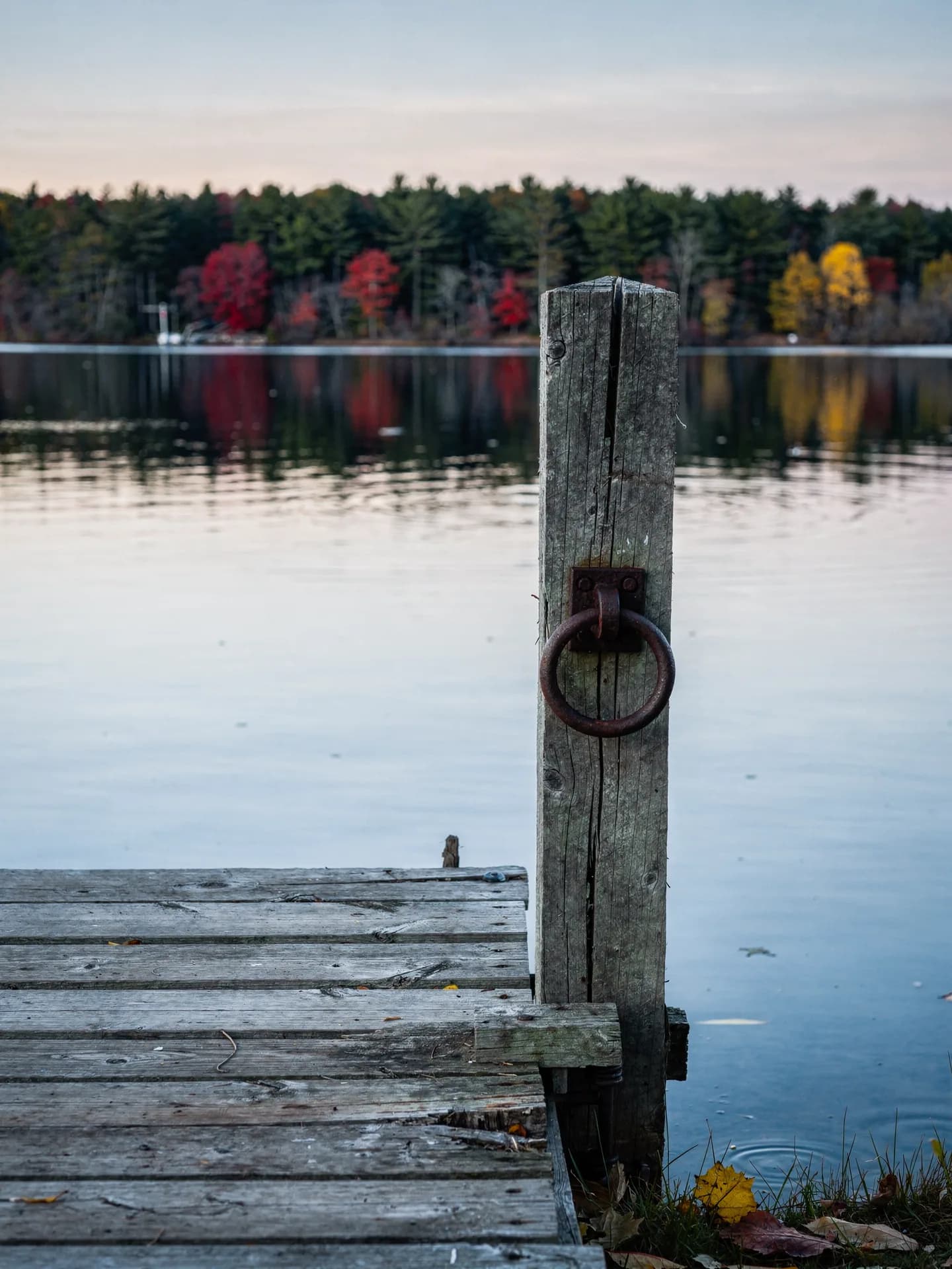 A weathered post with an iron mooring ring stands at the end of a wooden dock on a still lake at dawn, pines and red maples on the far shore.
