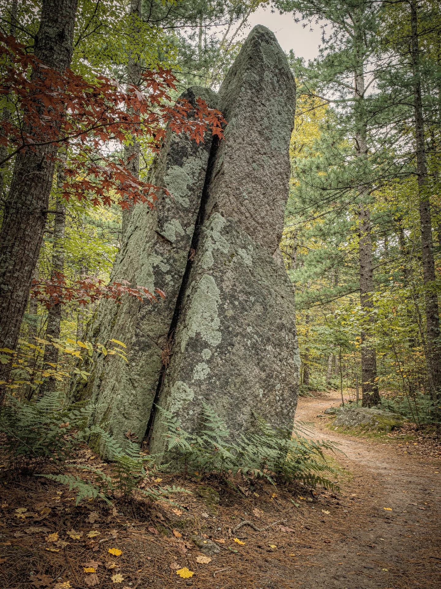 A tall split granite boulder stands in oak and pine woods, ferns at its foot and a footpath passing its base.
