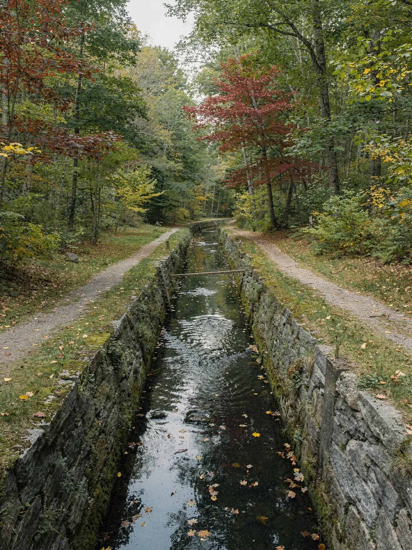 A narrow stone-lined canal channel filled with still water and fallen leaves runs straight through woods, a footpath on each side.