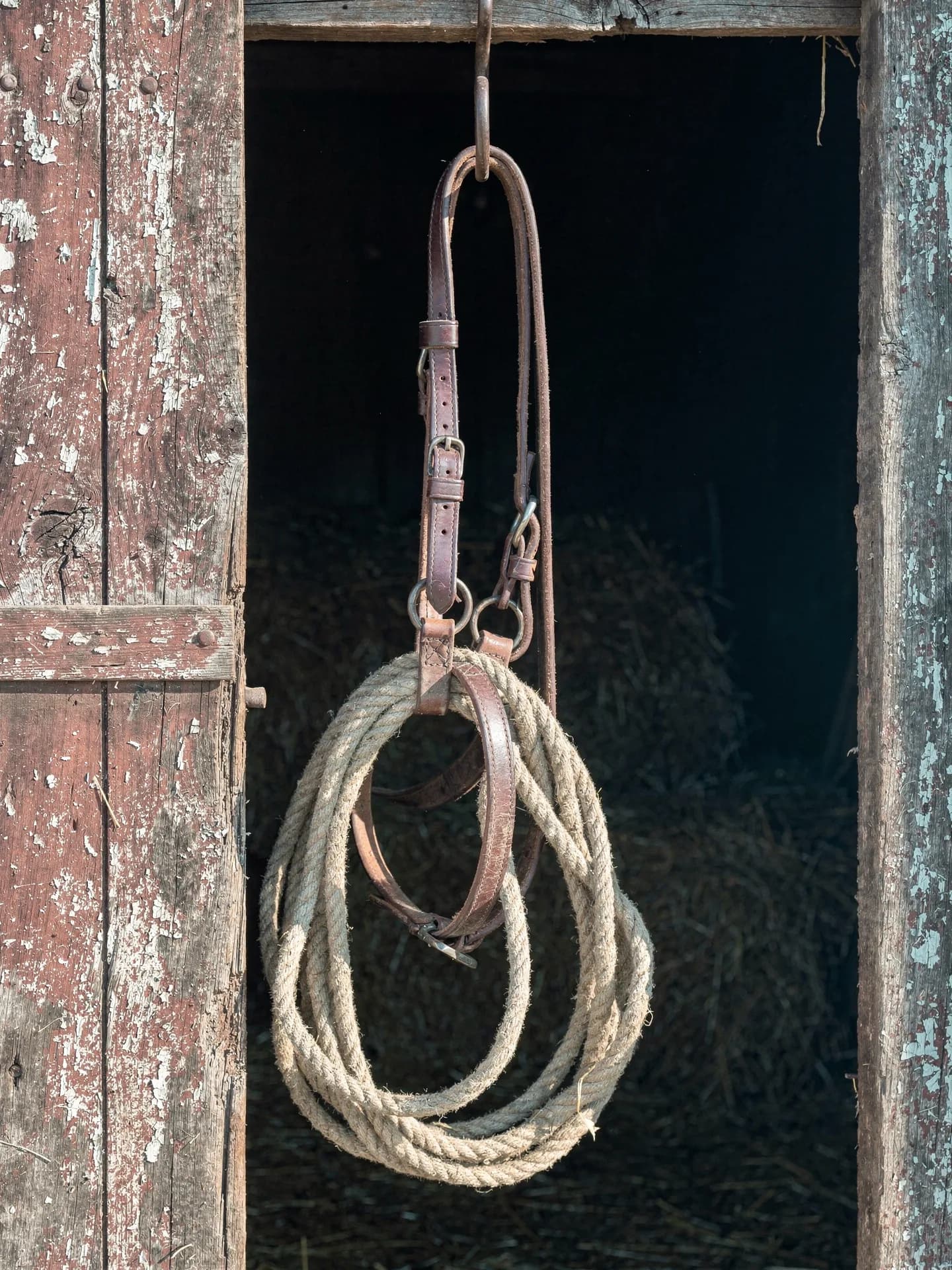 A leather bridle and a coiled rope hang from an iron hook in the doorway of a weathered stable, hay in the dark behind.