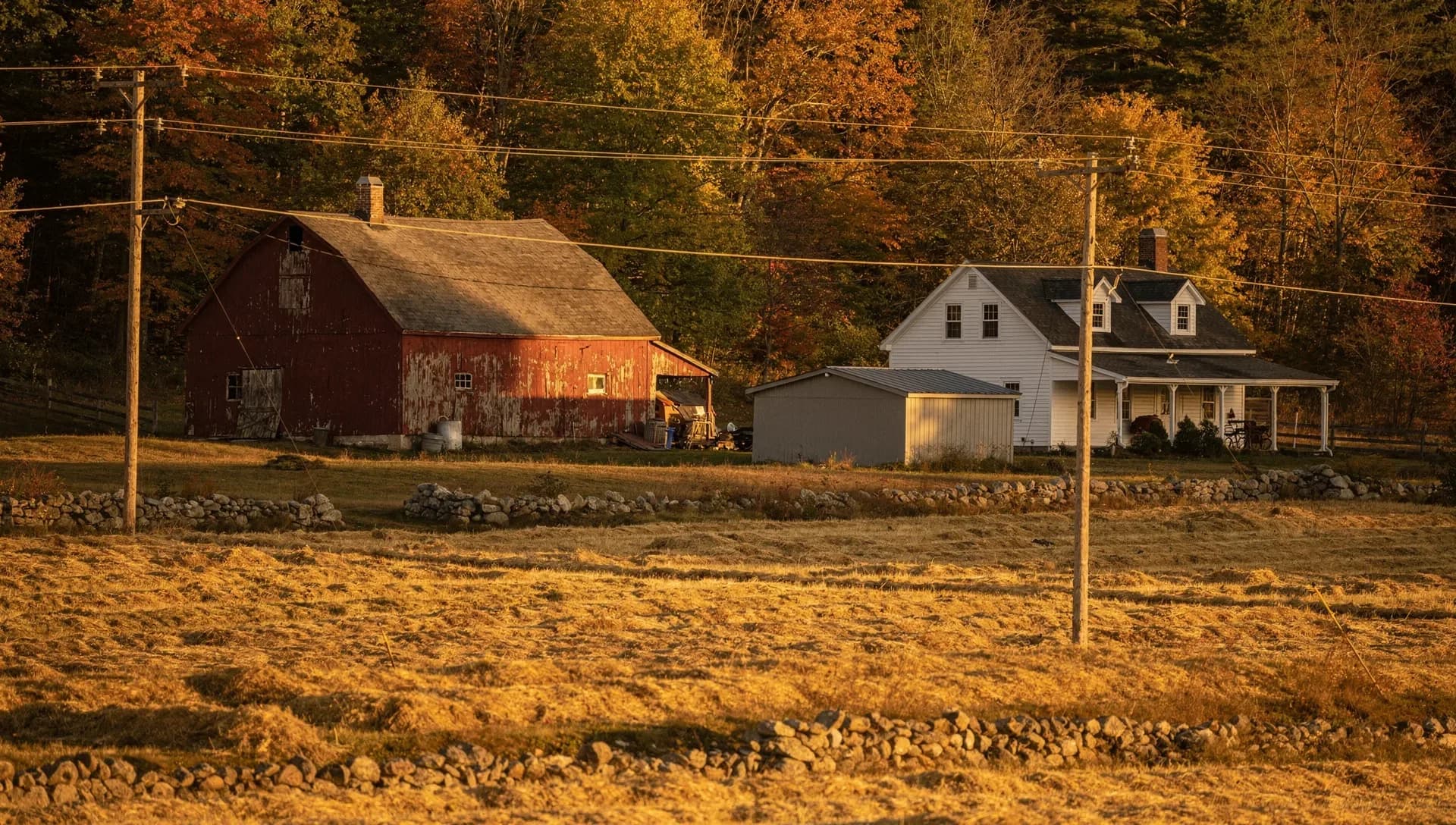 A weathered red barn, a grey shed and a white farmhouse with a porch sit behind fieldstone walls across a mown hayfield in low golden light.
