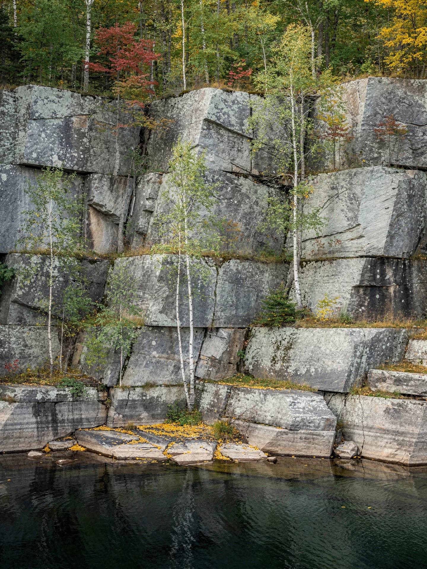 Cut ledges of grey granite drop in steps into still dark quarry water, birch saplings growing from the cracks.