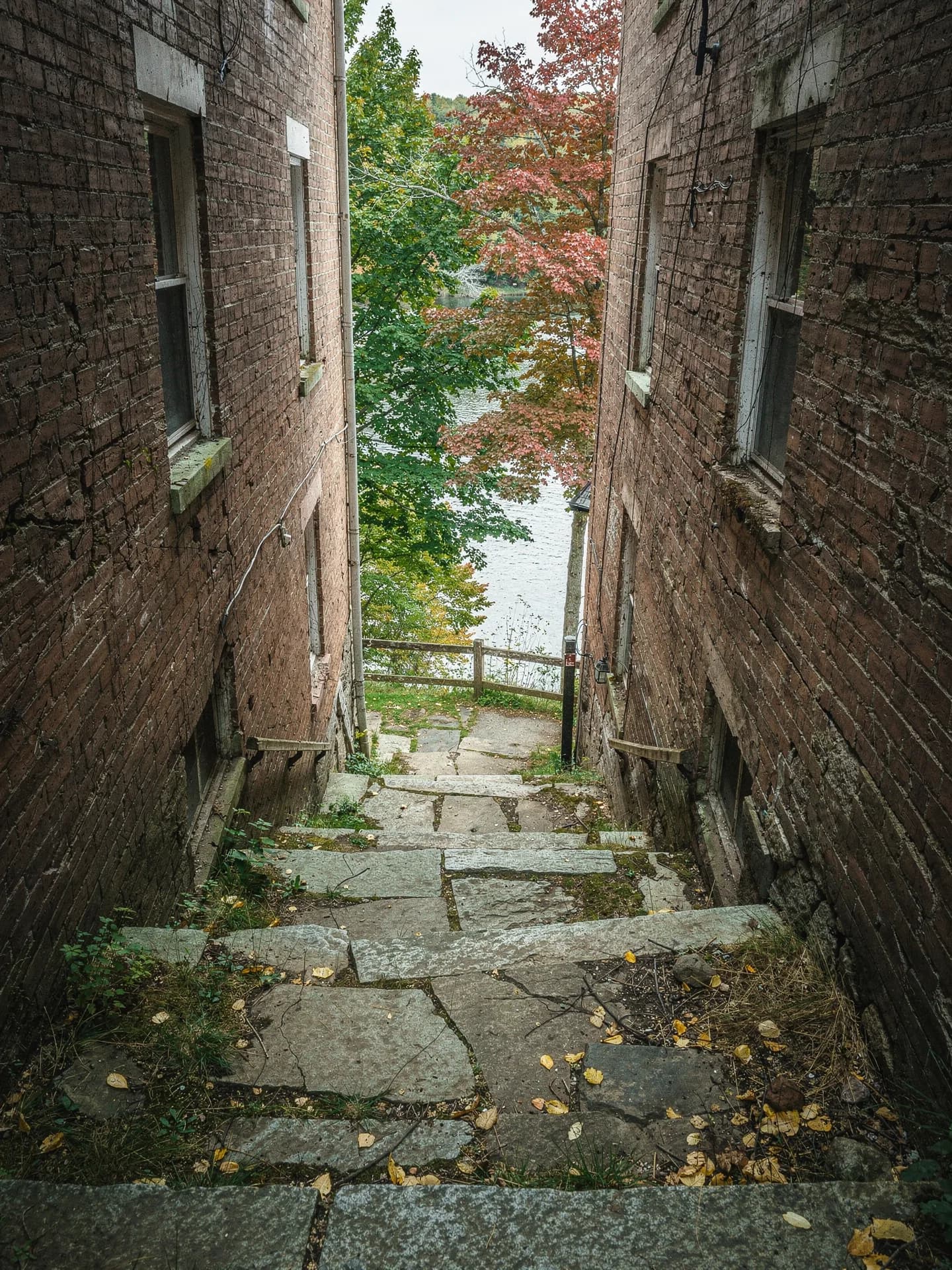 Worn stone steps descend a narrow alley between two old brick buildings toward a glimpse of river and a red maple.