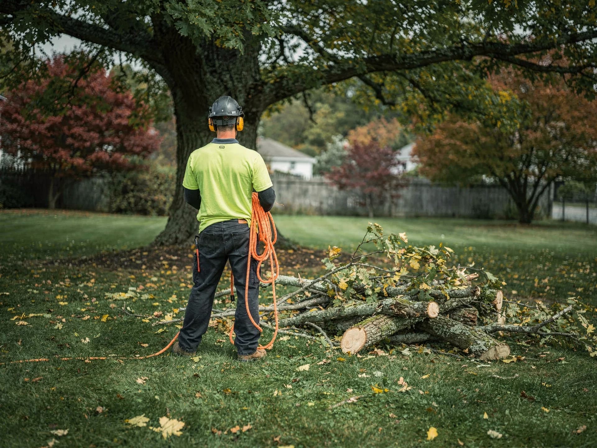 A tree worker in a hi-vis shirt and a helmet with ear defenders coils an orange climbing rope beside a pile of cut oak limbs on a lawn.