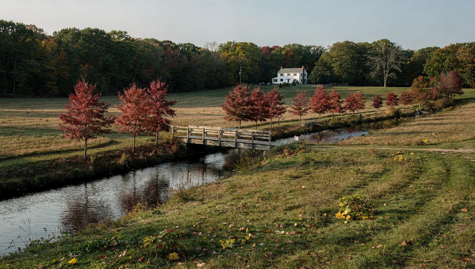 A plank footbridge crosses a winding brook in a hay meadow, young red maples along the water and a white farmhouse far off.