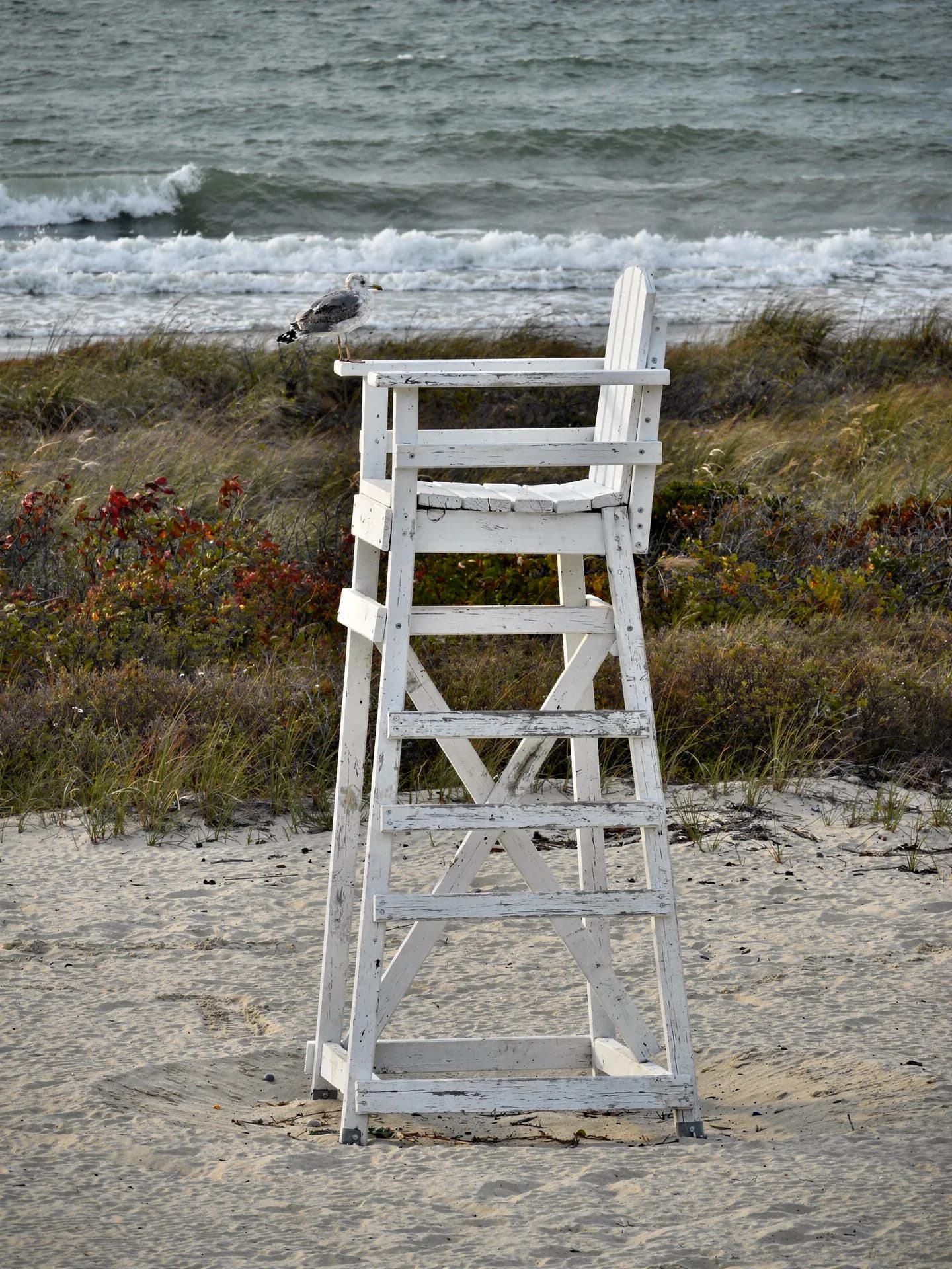 A gull perches on a tall white wooden lifeguard chair standing empty on the sand, dune grass and grey-green surf behind.