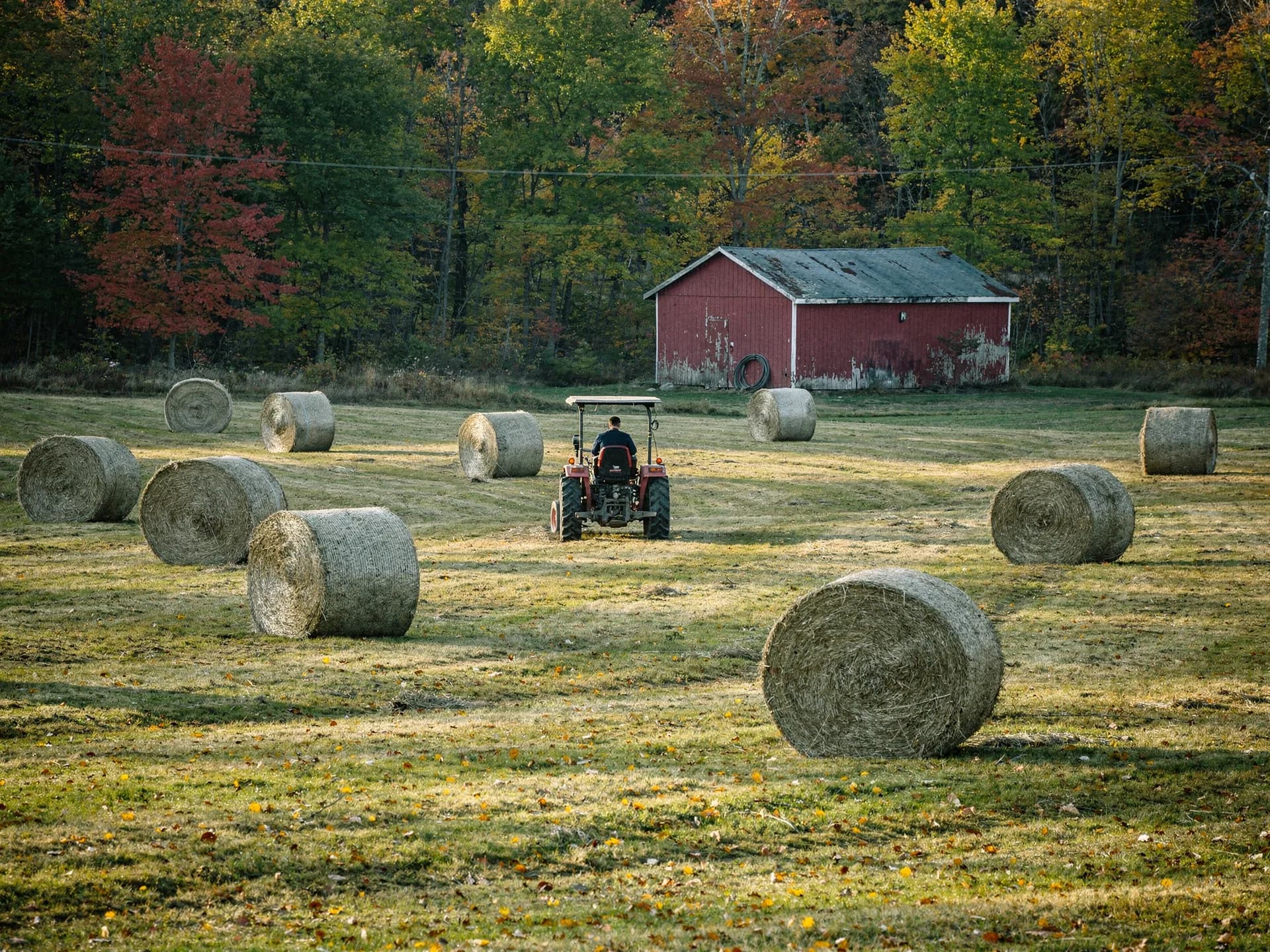 Round hay bales dot a field as a small tractor works toward a red barn at the treeline.