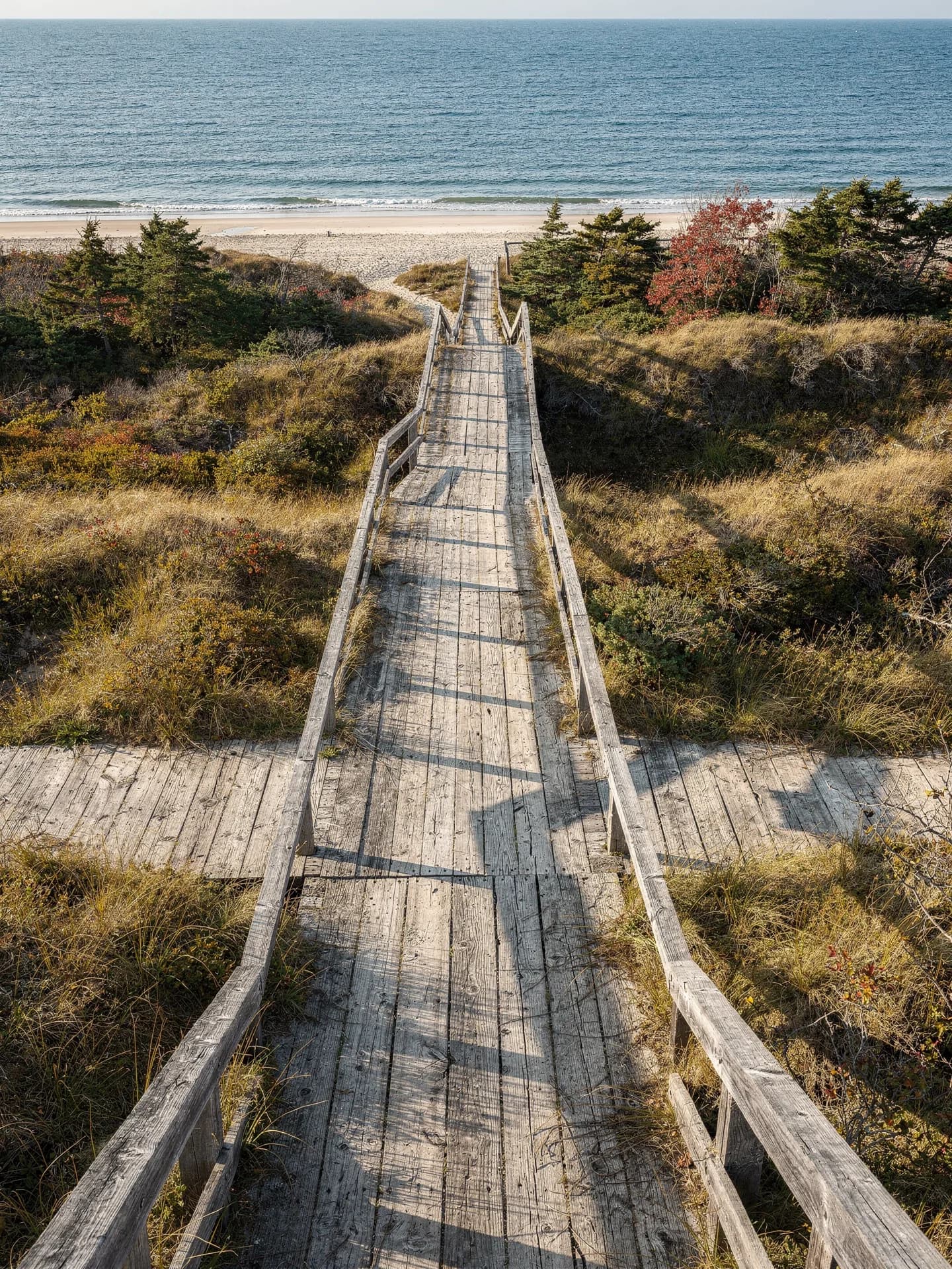 A weathered wooden boardwalk runs over grassy dunes toward a strip of pale beach and blue water.