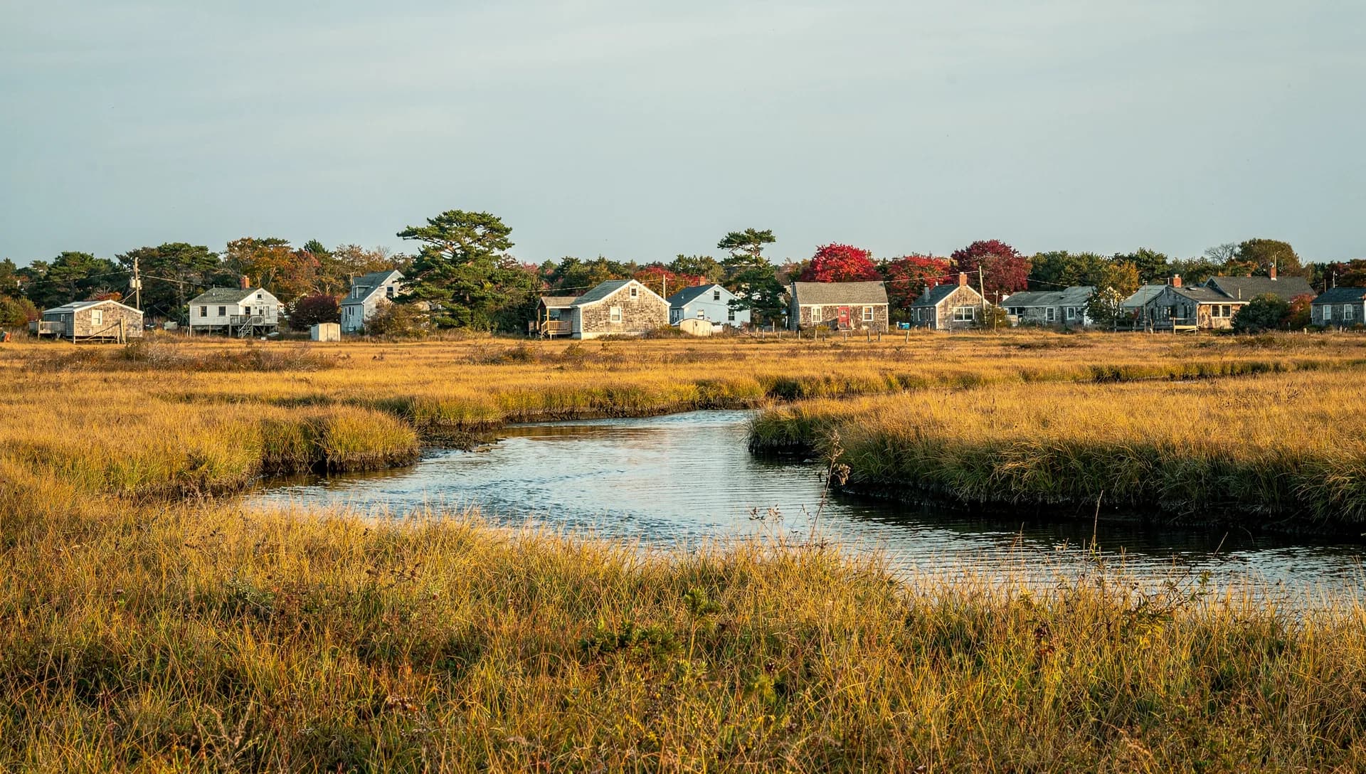 A tidal creek winds through golden salt marsh toward a row of small shingled houses.