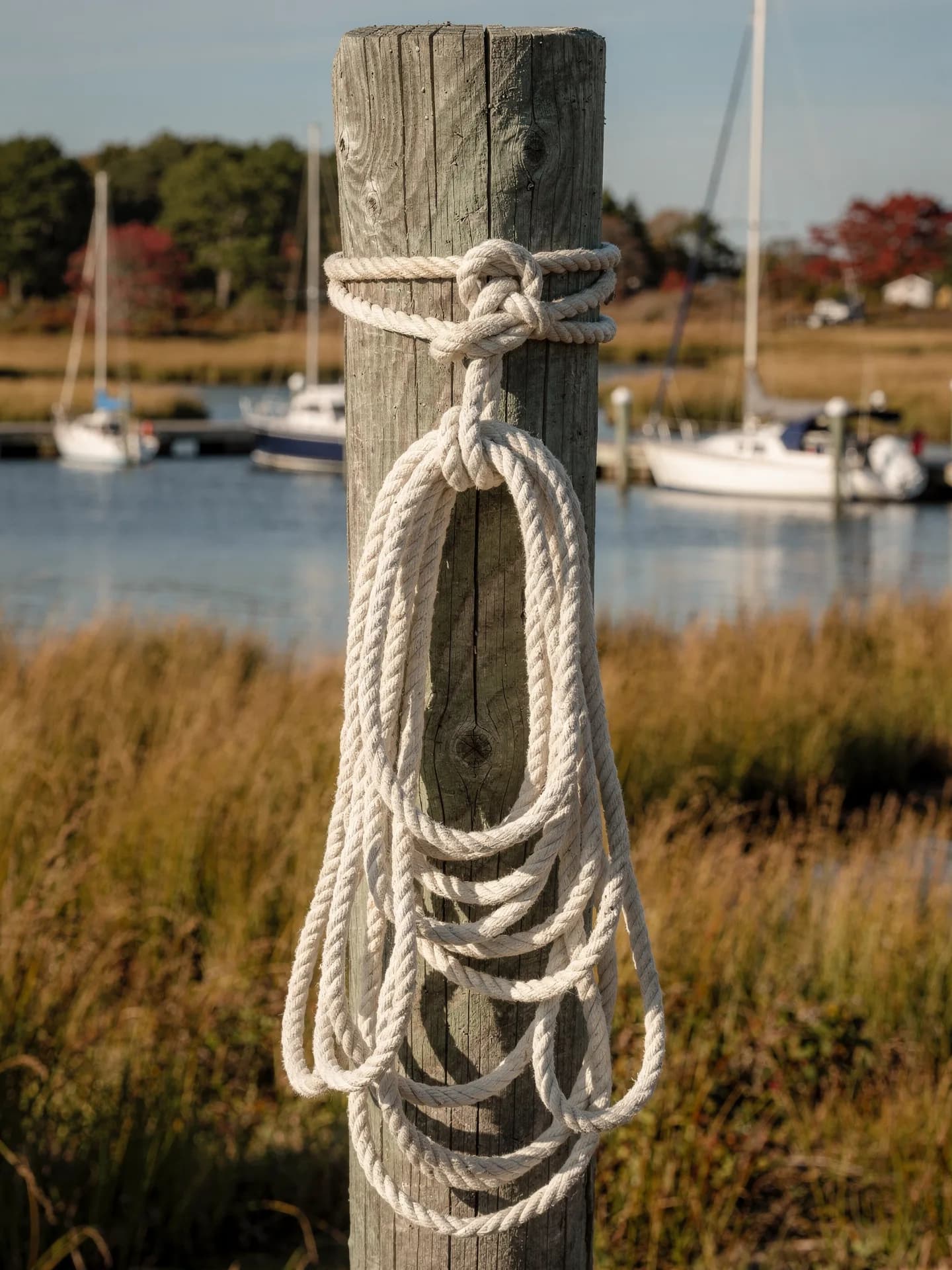 A coil of white dock line hangs on a weathered pier post above golden marsh grass, moored sailboats soft in the background.