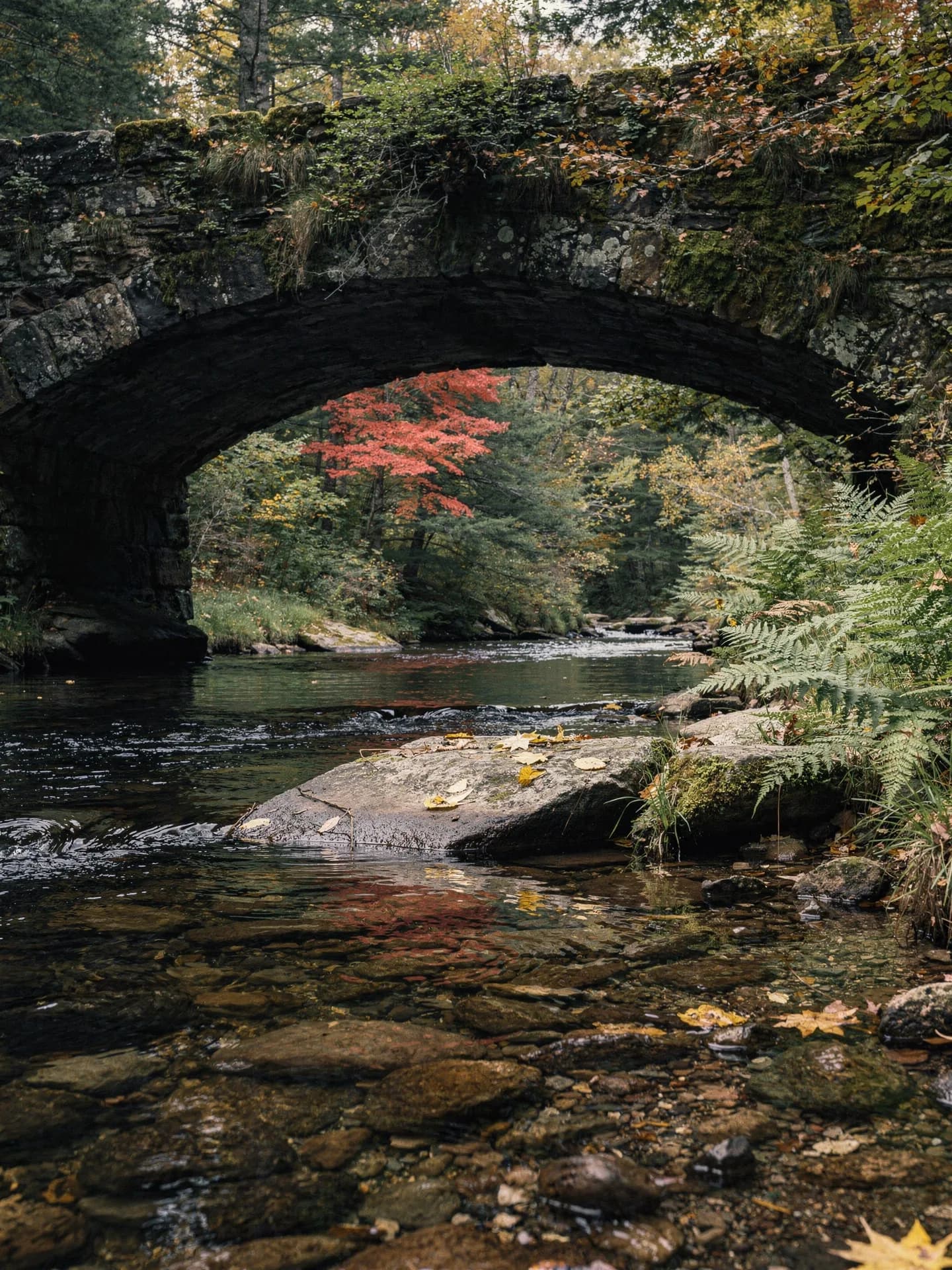 Clear brook water runs over stones under a mossy fieldstone arch bridge, ferns on the bank and yellow leaves on a rock.
