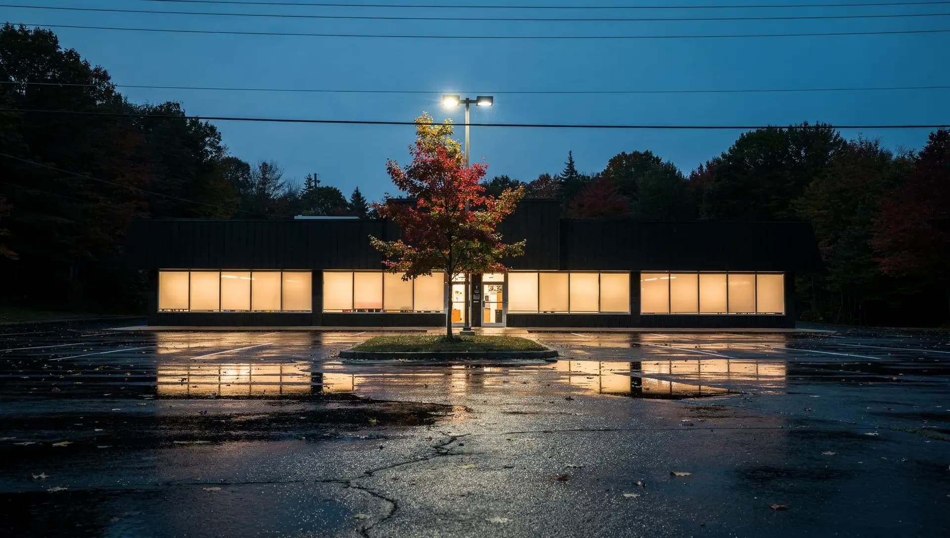 A low strip of storefronts glows through frosted windows across a wet parking lot at blue dusk.