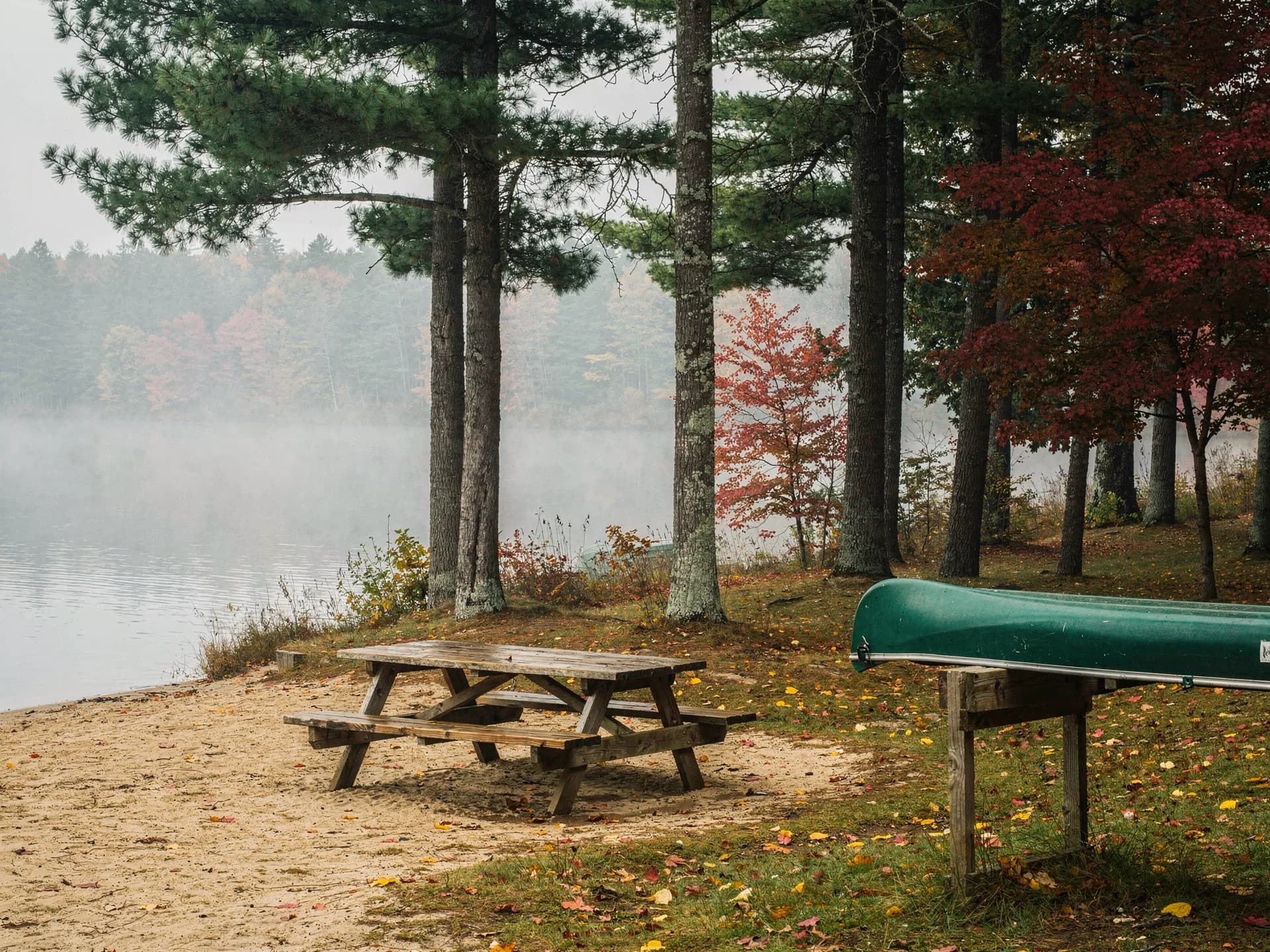 A picnic table on a sandy lake shore under tall pines, a green canoe on a rack and mist on the water.