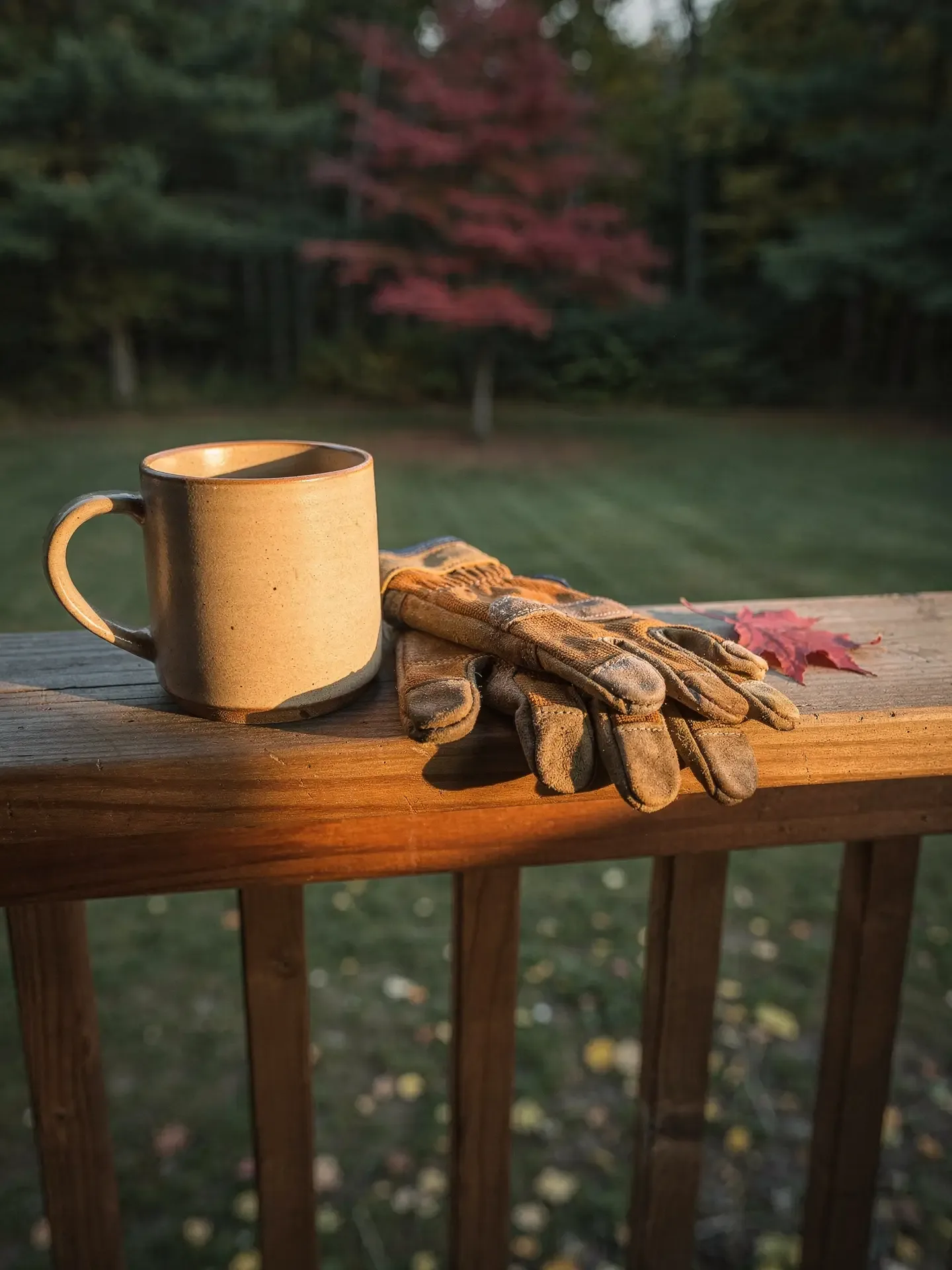 A ceramic mug and worn leather work gloves rest on a deck railing in low golden light beside a red maple leaf.